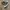 Converse chuck 70's photo 1