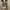 Converse 70's photo 6