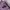 Hoodie Nike 7 Swosh Purple photo 5