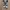 Converse 70's photo 3