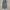 Celana Levis Black Wash photo 1
