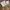 Vintage Streetwear Fur coat Wanita tan brown photo 5