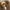 Vintage Streetwear Fur coat Wanita tan brown photo 2
