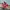 Vans authentic  photo 3