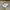 Salomon XT-6 'Cream White Blue' Trail Shoes Original