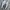 Salomon XT-6 'Cream White Blue' Trail Shoes Original photo 8
