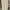 Minimalist Casual Culotte Wanita cream photo 3
