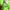 Kemeja H&M Devided Green Casual Shirt Basic Color Reguler Fi photo 6