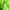 Kemeja H&M Devided Green Casual Shirt Basic Color Reguler Fi photo 5