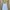 Mini Dress Baby Blue The Editors Market