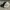 Vintage Streetwear Hat Pria green photo 4