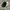 Vintage Streetwear Hat Pria Green