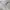 kaos crop polo knit long sleeve grey misty photo 1