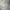 kaos crop polo knit long sleeve grey misty photo 2