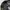 Fieldcore Casual Bomber jacket Pria green photo 4