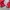 Adidas Casual Bomber jacket Pria red photo 6
