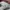 JORDAN 1 LOW SE PAW PRINT PINK FOAM photo 5