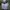 Nike Gorpcore Windbreaker Pria white black photo 2