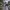 Nike Gorpcore Windbreaker Pria white black photo 3