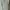 Chaps Ralph Lauren Polo Shirt Mens Large Plain White Short  photo 1