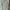Chaps Ralph Lauren Polo Shirt Mens Large Plain White Short 