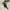 POLO Ralph Lauren Braided Leather Dark Brown Limited Edition photo 1