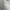 Armani	 Luxury Casual Jeans Pria cream photo 2