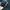 Arsuxeo men cycling short // Arsuxeo celana sepeda photo 6
