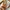 Vintage Roberta italy belt photo 4
