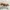 Vintage Roberta italy belt photo 6