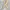 Vintage missoni italy belt photo 1