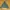 Bape A Bathing Ape Green Camo Jersey/Zip Fashion Hoodie
