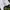 Vintage Shirt Golf Nissan open tournament 90s photo 6