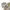 Streetwear Casual Windbreaker Wanita tan gray photo 4