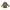 Streetwear Casual Parka Wanita green photo 2