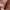 Michael Kors Casual Tote bag Wanita brown photo 8