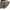 Michael Kors Casual Tote bag Wanita white photo 4