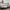Michael Kors Casual Tote bag Wanita white photo 7