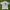 Disney Vintage Y2K T-shirt Pria white photo 1