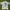 Disney Vintage Y2K T-shirt Pria White
