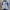 Mizuno Halfzip Baseball Team Jacket photo 1