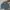 Jacke Trucker Uniform Bridge Type 2 photo 1