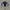 Sportswear Track jacket Pria multicolor black photo 1
