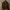 Reiss Brown Suede Jacket photo 2