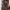 Martinique Brown Suede Leather Jacket photo 1