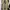 J. Lindeberg Cream Wool Coat photo 1