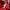 Topshop Red Cable Knit Cropped Turtleneck Sweater photo 4