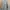 Jaket Softshell Tactical Emerson XL photo 4
