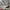 Puma golf women sneakers  photo 1
