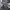 BNIB Puma golf women sneakers  photo 5